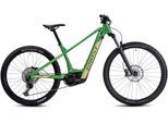 E-Bike GHOST "E-Teru B Advanced - Bosch Mittelmotor" Gr. 38, grün (beige, khaki, schwarz), Elektrofahrräder, 38cm, 29 Zoll (73,66cm), E-Bike, BOSCH Performance Line, Mittelmotor