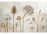 Fototapete PAPERMOON "Photo-Art MANDY DISHER, ALT WERDEN", bunt, B:2,5m L:1,86m, Vlies, Tapeten
