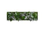 Möbelix , Grün , Naturmaterialien , Eiche , 140x40x18-22 cm , 3D-Effekt, einfache und schnelle Anbringung, pflegefrei – nicht gießen oder besprühen, keine Beleuchtung notwendig , Dekoration, Bilder & Rahmen, Bilder, Moosbilder