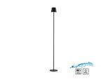JUST LIGHT Stehlampe "EURIA", schwarz, 1, Ø 16cm H: 125cm, 1 Stk., Leuchten, Akkuleuchte, Stehlampe