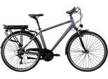 E-Bike ZÜNDAPP "Z802 Herren" Gr. 48, grau (grau, grün), Elektrofahrräder, Herren, 48cm, 28 Zoll (71,12cm), E-Bike, Pedelec, Elektrofahrrad für Herren