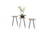möbel direkt online Beistelltisch, Blumenständer Set 3 tlg. Anke