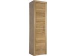 Aktenschrank VOGL MÖBELFABRIK "Toronto", braun (wildeiche), B:52cm H:189,5cm T:42cm, Holzwerkstoff, Massivholz, Schränke, Aktenschrank, in 2 Breiten, teilmassiv, Fächer für Aktenordner, Made in Germany