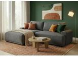 Ecksofa TRENDMANUFAKTUR "Fordon, Schlafsofa mit Bettkasten, Couch in L-Form, Breite 250 cm", grau (anthrazit), B:250cm H:82cm T:167cm, 100% Polyester, Sofas, Ecksofa, in Struktur fein LEO, haustierfreundlich, anthrazit, Recamiere links