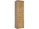Aktenschrank VOGL MÖBELFABRIK "Toronto", beige (kernbuche), B:52cm H:189,5cm T:42cm, Holzwerkstoff, Massivholz, Schränke, Aktenschrank, in 2 Breiten, teilmassiv, Fächer für Aktenordner, Made in Germany