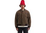 Dstrezzed Finis bomber