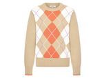HV Society Pullover hvsholly
