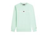 Tommy Hilfiger Sweatshirt mw0mw11596
