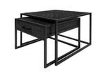 Home67 Salontafel ruby visgraat mangohout set van 2