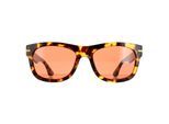 Serengeti Square Unisex Glänzende Schildkröte Havanna Mineral Drivers Foyt