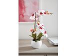 Kunstorchidee HOME AFFAIRE "Ernestine", rosa, H:42cm, Kunststoff, Kunstpflanzen, Kunstpflanze, im Topf