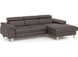 Ecksofa COTTA "Komaris L-Form, B: 244 cm", elefant, B:244cm H:72cm T:166cm, Microfaser PRIMABELLE (100% Polyester);Kunstleder SOFTLUX(100%Polyurethan);Feinstruktur (100% Polyester);Kunstleder SOFTLUX/Struktur (100%Polyurethan, 90%Polyester, 10% Polyacryl), Sofas, Ecksofa, mit Kopfteilverstellung, optional Bettfunktion, Bettkasten & Licht