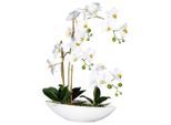 Möbelix , Grün, Weiß , Keramik , 60 cm , inkl. Topf, Real-Touch-Oberfläche , Dekoration, Blumen & Blumentöpfe, Kunstblumen