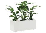 Blumenkasten Weiß
