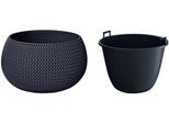 Pflanzkübel PROSPERPLAST "Splofy Bowl", grau (anthrazit), H:21cm Ø:37cm, Kunststoff, Pflanzgefäße, Pflanzkübel, ØxH: 37x21 cm
