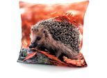Dekokissen WECKBRODT "Igel" Gr. 1, bunt (multi, gemustert), B:40cm L:40cm, Obermaterial: 100% Polyester, Dekokissen_Sitzkissen_Kissenhüllen, Dekokissen