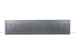 PRASCO Zier-/Schutzleiste, Tür ft9301458 hinten links für Fiat Peugeot
