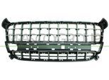 PRASCO Lüftungsgitter, Stoßfänger pg5202001 vorne für Peugeot