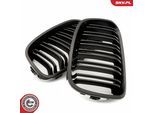 ESEN SKV Kühlergitter 66skv018 beidseitig für BMW