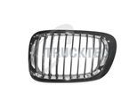 TRUCKTEC AUTOMOTIVE Kühlergitter 0862226 links für BMW