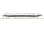 PRASCO Spoiler vg7601801 vorne für VW