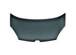 DIEDERICHS Motorhaube 4414700 für RENAULT