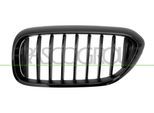 PRASCO Kühlergitter bm0532004 links für BMW