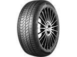 GOODRIDE - REIFEN Winterreifen 205/50 R17 93V XL ZuperSnow Z-507 1401