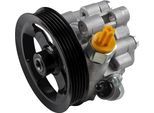 JP GROUP Hydraulikpumpe, Lenkung 4845100300 für TOYOTA