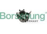 BORSEHUNG Unterdruckpumpe, Bremsanlage b18666 für VW Skoda