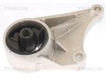 TRISCAN Lagerung, Motor 850524102 für Opel Vaughall
