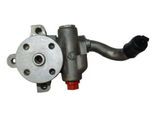 SPIDAN Hydraulikpumpe, Lenkung 53875 für Ford