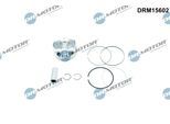 DR.MOTOR AUTOMOTIVE Kolben drm15602 für DS
