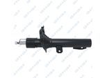 GSP Stoßdämpfer 32317460 Vorderachse für Ford