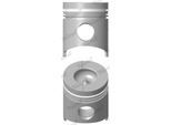 NÜRAL 8724550010 für Iveco