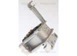 TRISCAN Lagerung, Motor 850529146 für VW