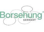 BORSEHUNG Kolbenringsatz b10373 für BMW