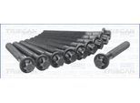 TRISCAN Zylinderkopfschraubensatz 984122 für Mercedes