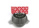 FEBI BILSTEIN Lagerung, Motor 29967 vorne links für Mercedes