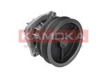 KAMOKA Wasserpumpe t0112 für Fiat LANCIA
