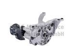 PIERBURG Ölpumpe 707919430 für Skoda
