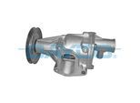 DAYCO Wasserpumpe dp311 für Fiat