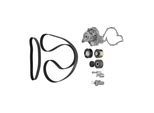 CONTINENTAL CTAM Wasserpumpe + Zahnriemensatz ct1015wp2pro für VW