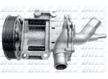 DOLZ Wasserpumpe h213 für MINI Chrysler