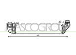 PRASCO Ladeluftkühler rn037n002 für RENAULT