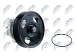 NTY Wasserpumpe cpwct036 für Opel Ford Suzuki CHEVROLET ALFAROME/Fiat/LANCI Vaughall Citroën/Peugeot