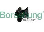BORSEHUNG Thermostat, Kühlmittel b18709 für VW
