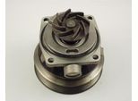 TRISCAN Wasserpumpe 860010006 für Peugeot Fiat