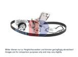 AKS DASIS Wasserpumpe + Zahnriemensatz 570312n für Ford Volvo
