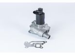 BORGWARNER AGR-Ventil 710955r für GM